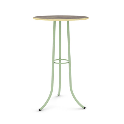 Pastel Green / Ziricote - Wood Veneer