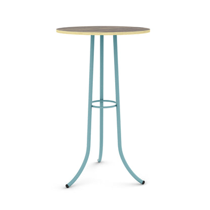 Pastel Turquoise / Ziricote - Wood Veneer