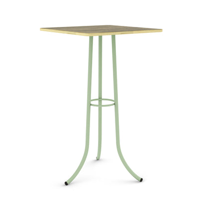 Pastel Green / Ziricote - Wood Veneer